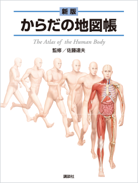 新版からだの地図帳｜The Atlas of the Human Body｜講談社