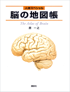 人体スペシャル　脳の地図帳