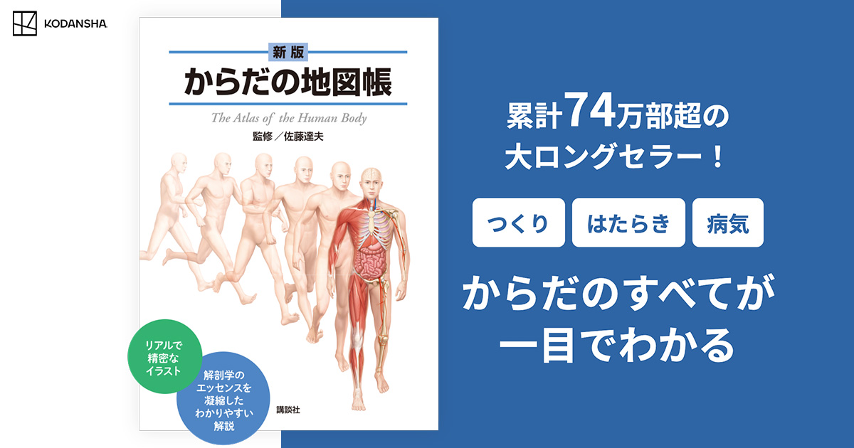 新版からだの地図帳｜The Atlas of the Human Body｜講談社
